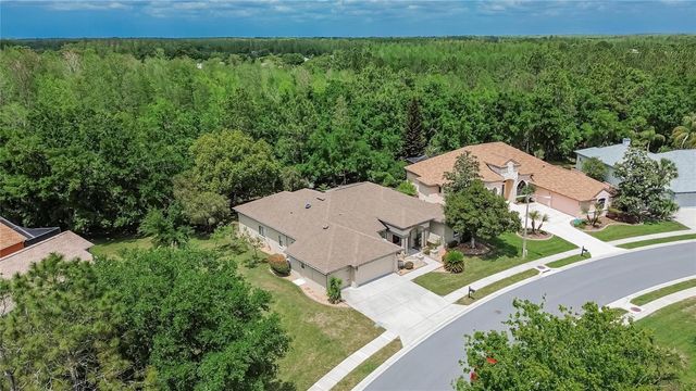 21234 TANGOR ROAD, Land O Lakes, FL 34637