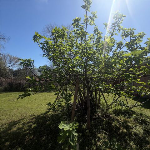 2420 Seevers Avenue, Dallas, TX 75216