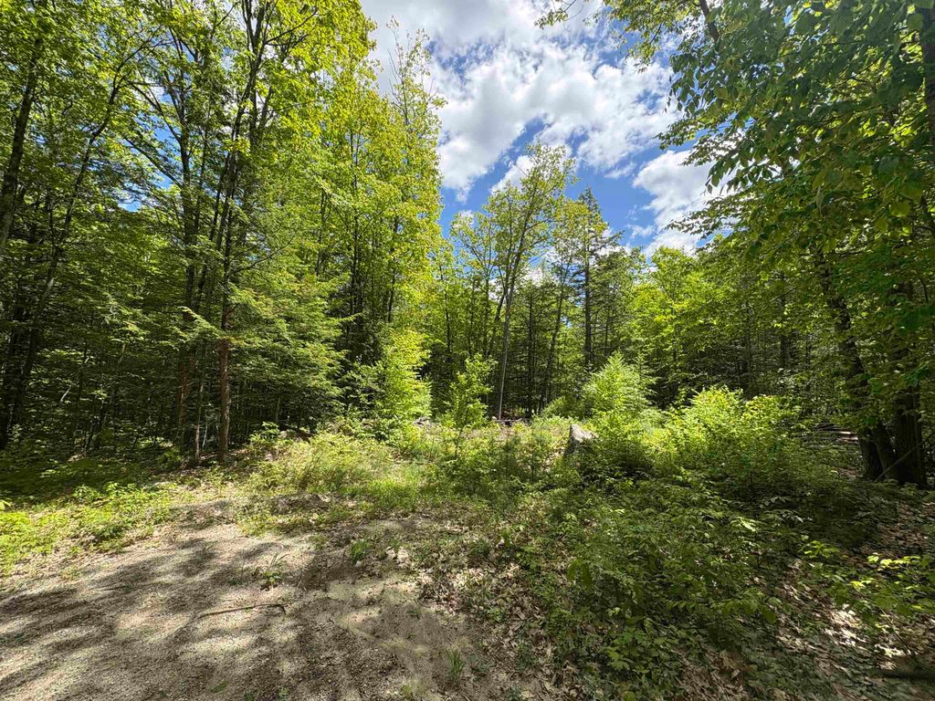 4&5, Antrim, NH 03440