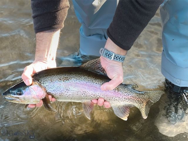 69 Upper Rainbow, Bozeman, MT 59718