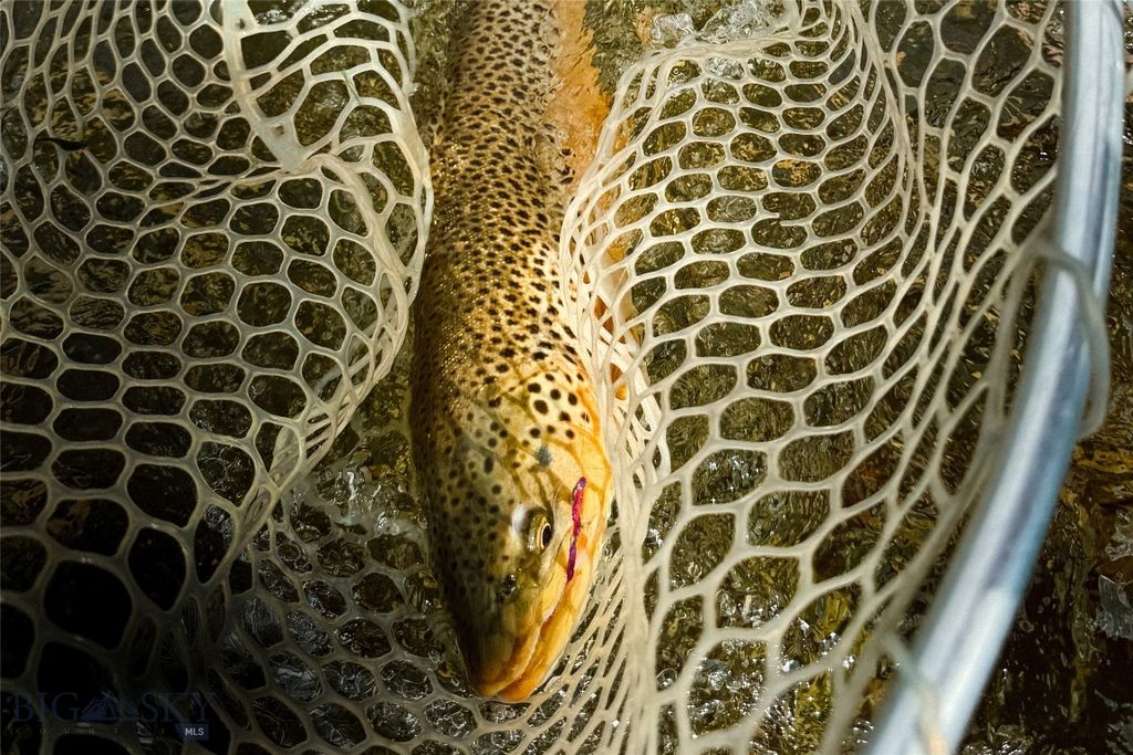 69 Upper Rainbow, Bozeman, MT 59718 photo 4