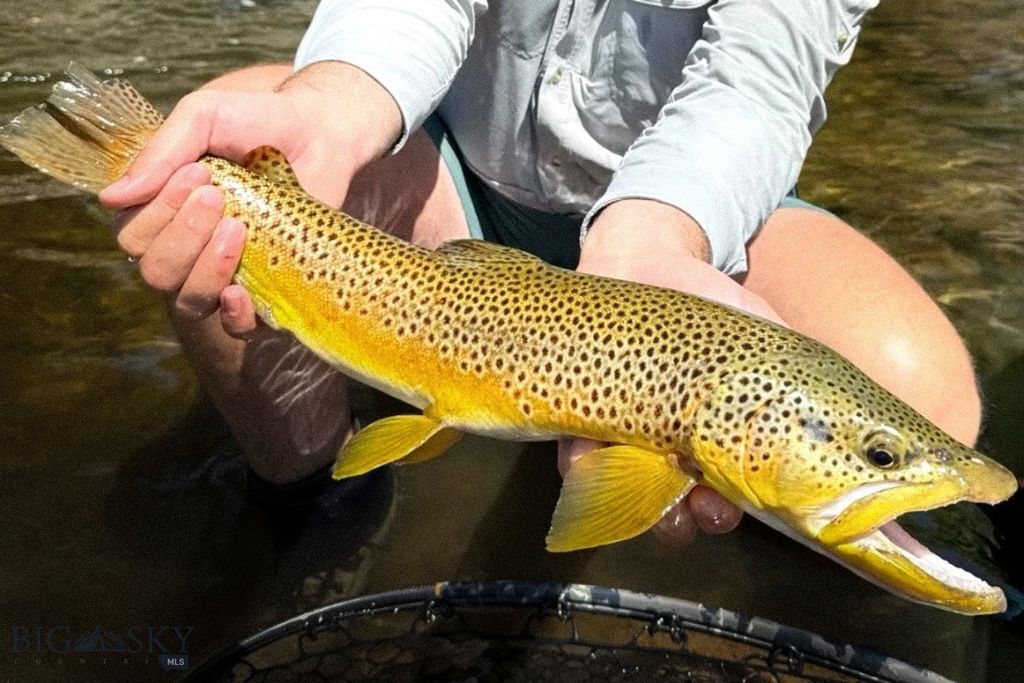 69 Upper Rainbow, Bozeman, MT 59718 photo 40