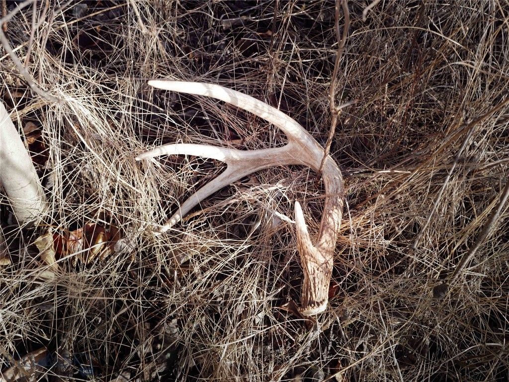 69 Upper Rainbow, Bozeman, MT 59718 photo 46