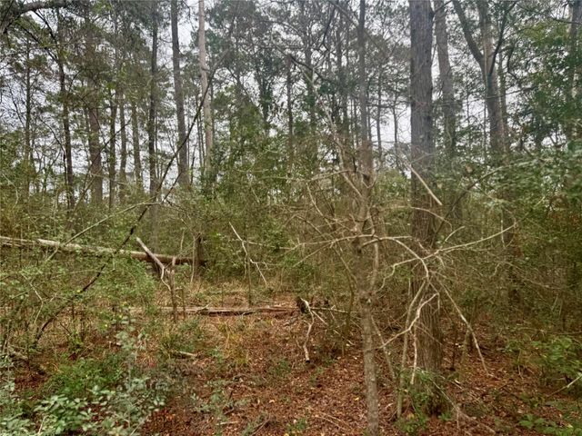 TBD Eastwood Avenue, Coldspring, TX 77331