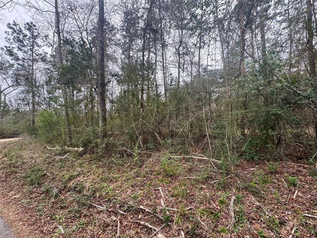 TBD Eastwood Avenue, Coldspring, TX 77331