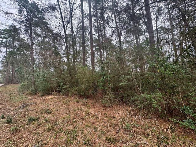 TBD Eastwood Avenue, Coldspring, TX 77331