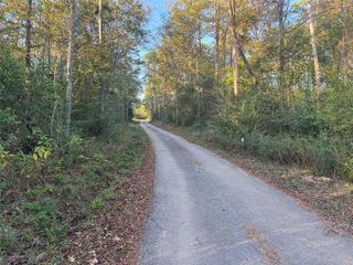 TBD Eastwood Avenue, Coldspring, TX 77331