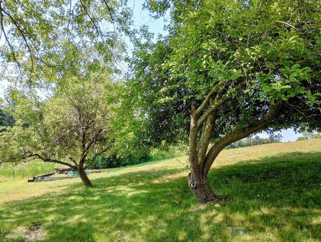 510 Mix Road, Gladwin, MI 48624