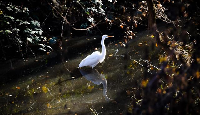 4324 Copper Cliff Ln, Modesto, CA 95355