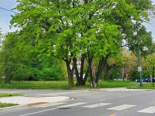 7100 S Princeton Avenue, Chicago, IL 60621