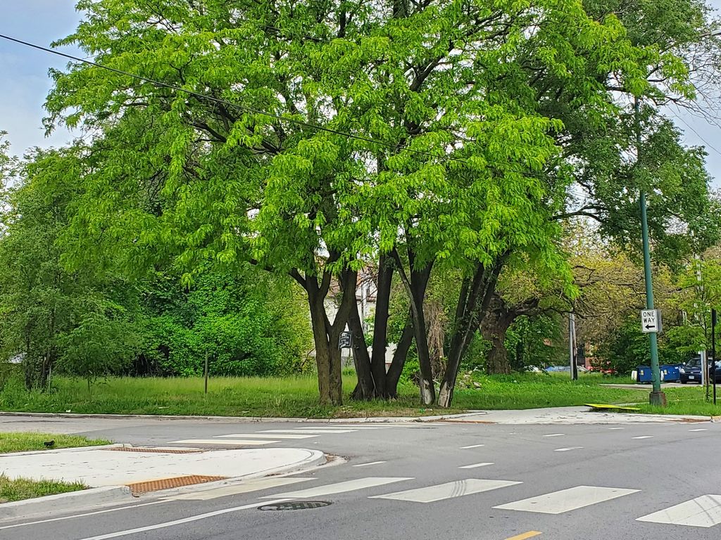 7100 S Princeton Avenue, Chicago, IL 60621