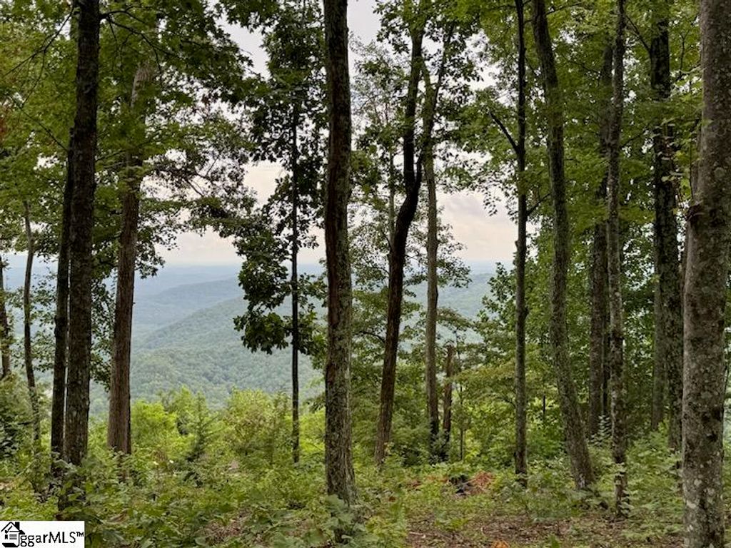 1534 Panther Park Trail, Travelers Rest, SC 29690