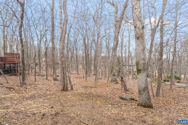 19 ROCK DOVE LN, Wintergreen, VA 22967