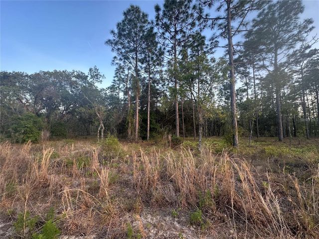 LOT 3 NW AMBERJACK AVE., Dunnellon, FL 34431