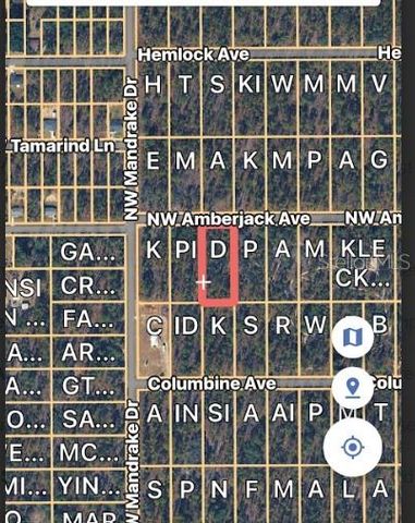 LOT 3 NW AMBERJACK AVE., Dunnellon, FL 34431