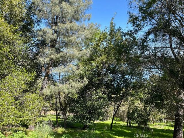 8452 Soda Bay, Kelseyville, CA 95451