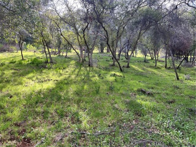 8452 Soda Bay, Kelseyville, CA 95451