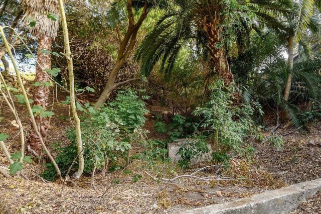 9707 Shadow Rd, La Mesa, CA 91941