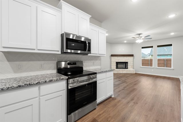 1232 Sabine River Lane, Springtown, TX 76082