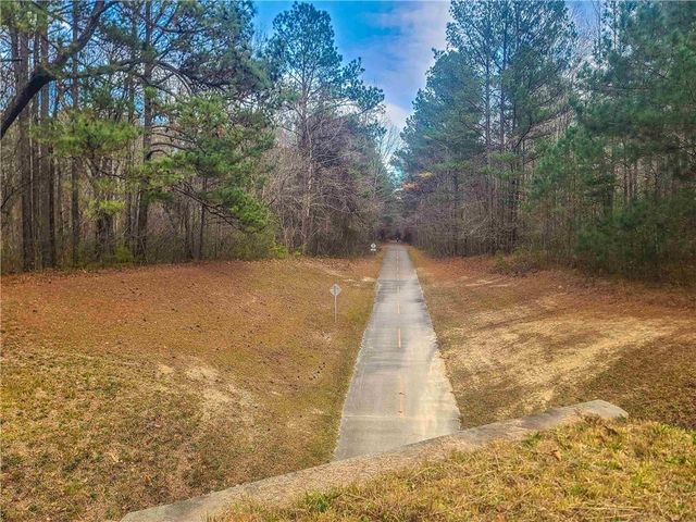 511 Willow Springs Drive, Dallas, GA 30132