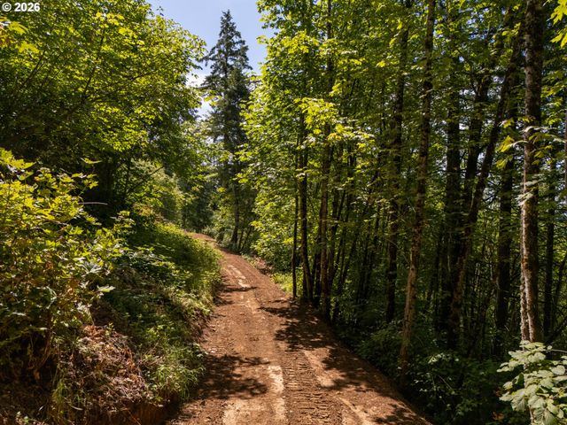 30540 Ne BELL Rd, Newberg, OR 97132