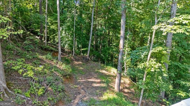 30 Chancel Circle 654R, Ellijay, GA 30540