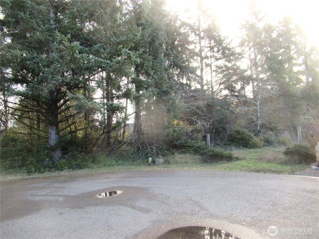 311 Sycamore Court, Ocean Shores, WA 98569