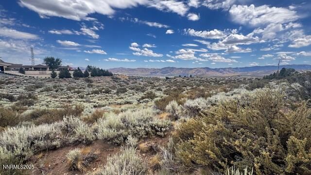 0 Mountain Daisy Rd, Reno, NV 89511