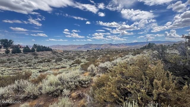 0 Mountain Daisy Rd, Reno, NV 89511