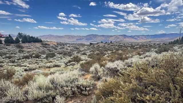 0 Mountain Daisy Rd, Reno, NV 89511