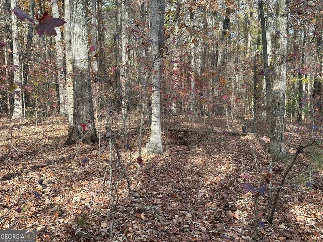 350 Antebellum Way, Fayetteville, GA 30215