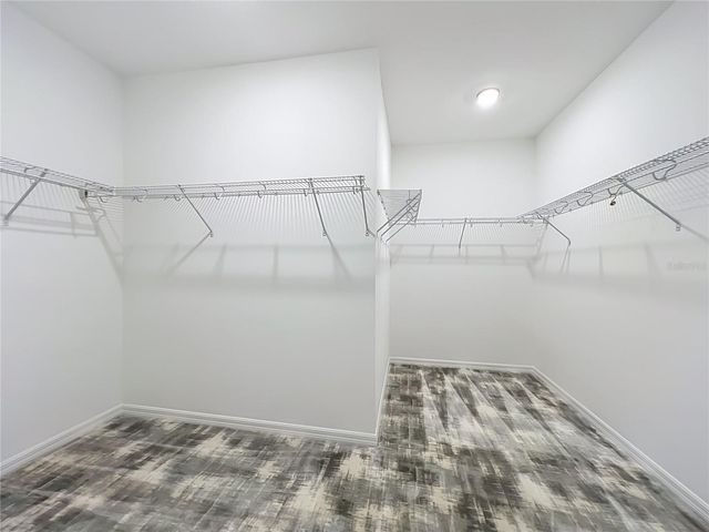 8316 LOOKOUT POINTE DRIVE, Windermere, FL 34786