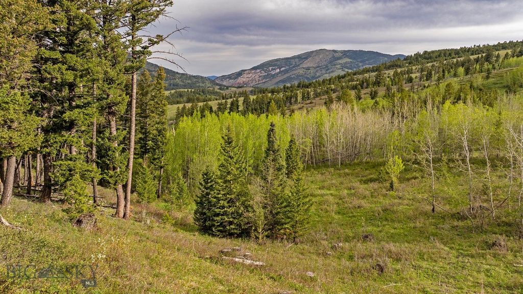 TBD Petterson Road, Wilsall, MT 59086 photo 3