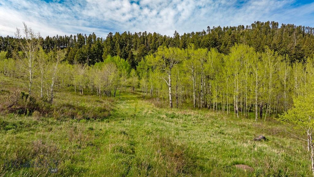 TBD Petterson Road, Wilsall, MT 59086 photo 5