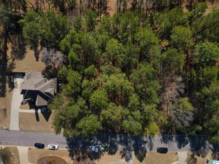 125 COVINGTON PLACE DRIVE, Columbiana, AL 35051