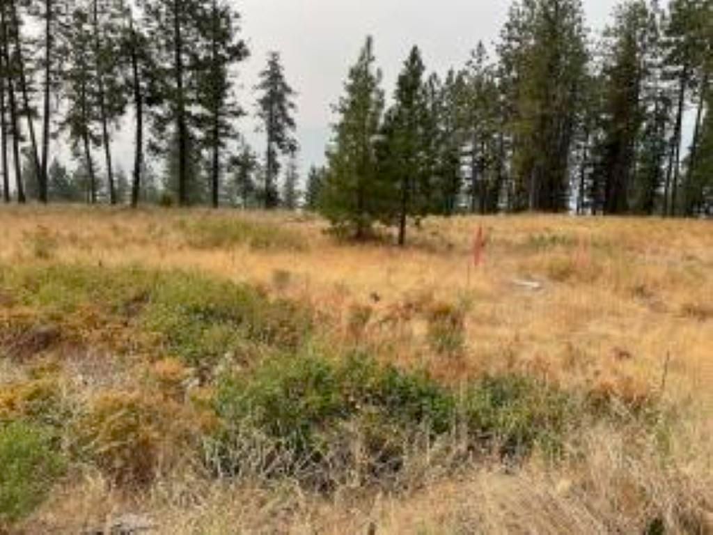 1606 PALMER Loop, Chewelah, WA 99109