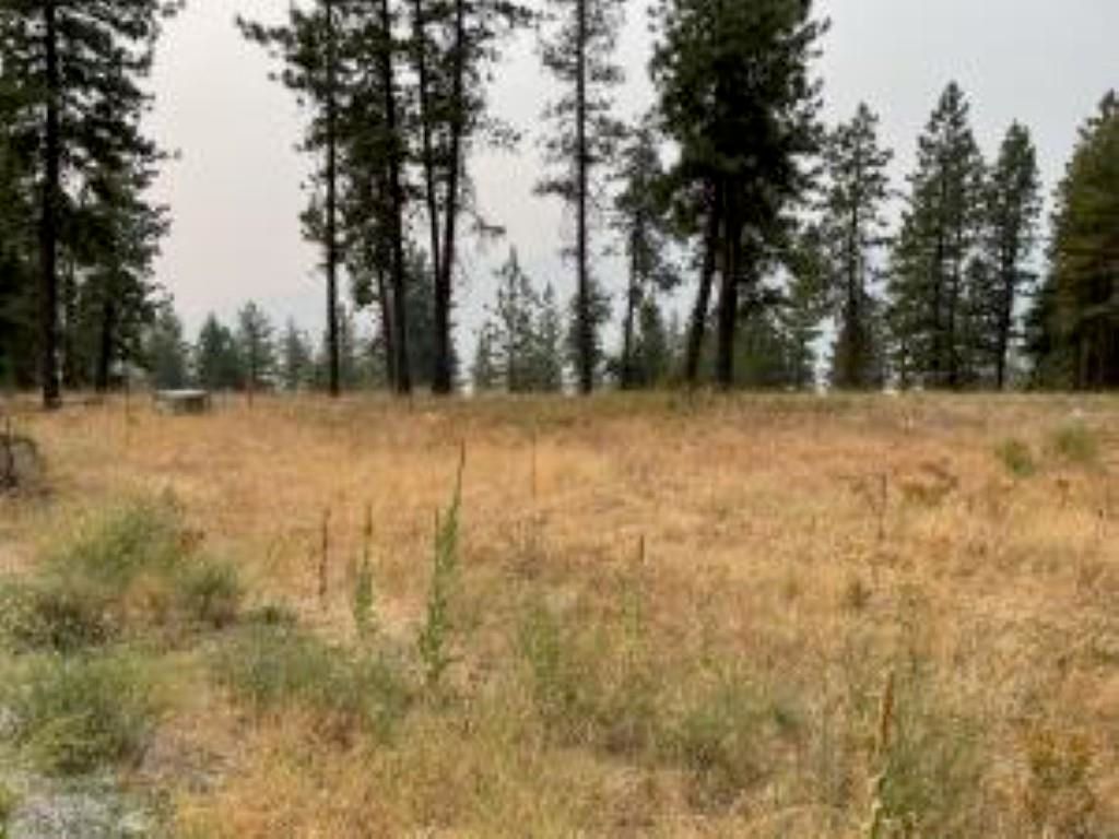 1606 PALMER Loop, Chewelah, WA 99109 photo 2