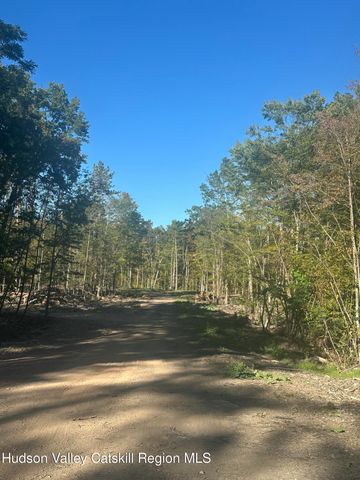 59 Olivers Way, Cairo, NY 12413