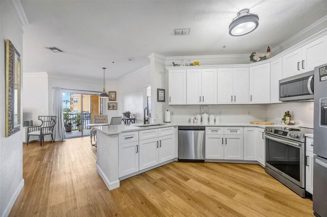 4309 BAYSIDE VILLAGE DRIVE 101, Tampa, FL 33615