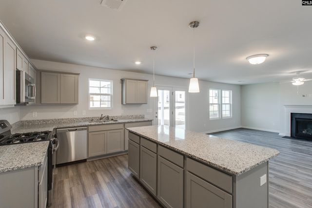 3679 Stedding Place, Lexington, SC 29073