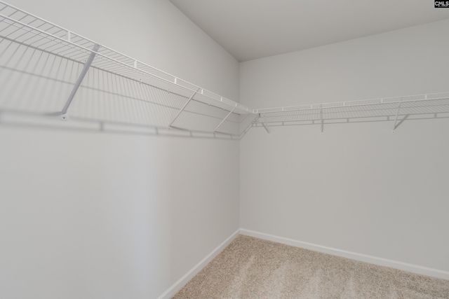 3679 Stedding Place, Lexington, SC 29073