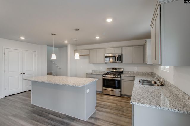 3679 Stedding Place, Lexington, SC 29073