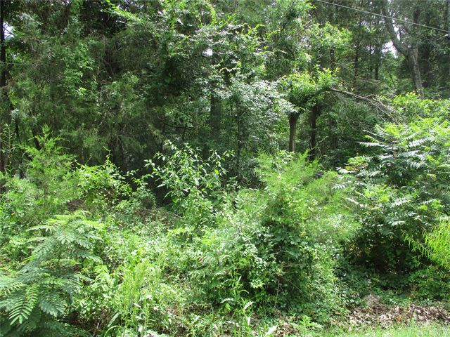 TBD ROBINSON Street, Emory, TX 75440