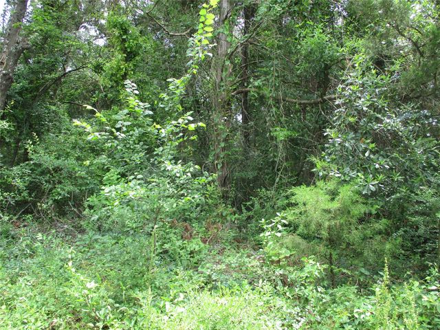 TBD ROBINSON Street, Emory, TX 75440