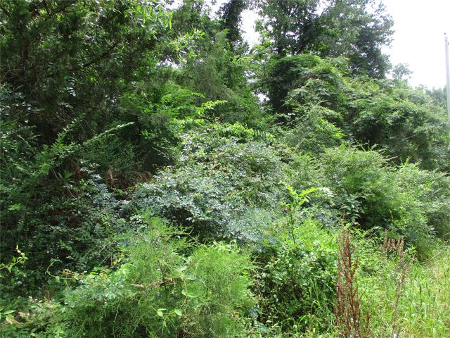 TBD ROBINSON Street, Emory, TX 75440