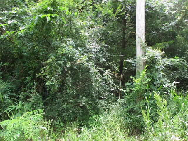 TBD ROBINSON Street, Emory, TX 75440