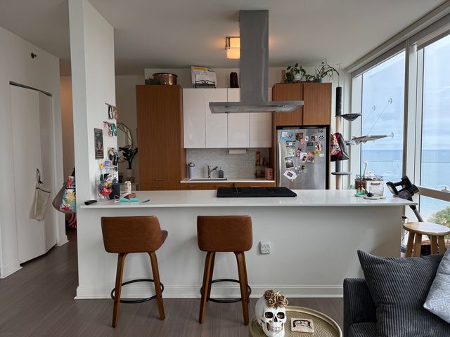 500 N Lake Shore Drive 1614, Chicago, IL 60611