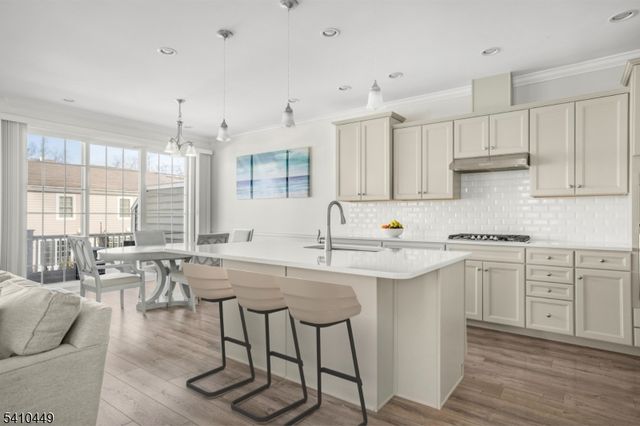 27 WILSON DRIVE, Morris Twp., NJ 07960