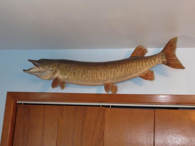 N4443 Crappie Road, Medford, WI 54451