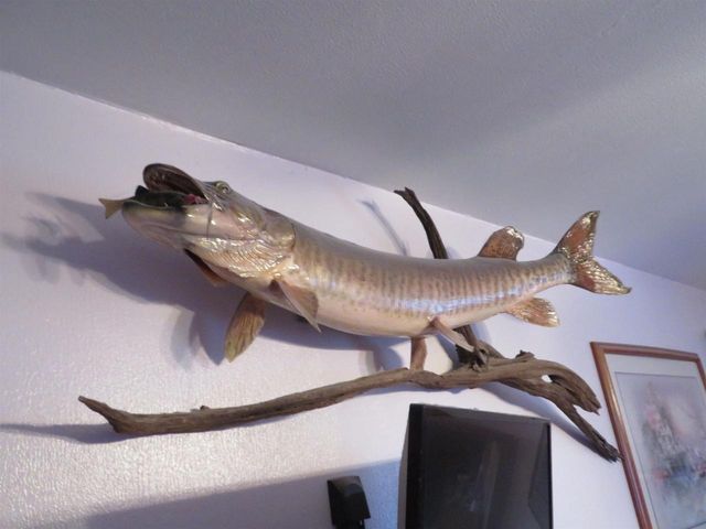 N4443 Crappie Road, Medford, WI 54451